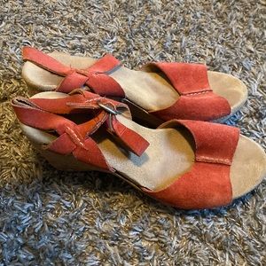 Clarks element